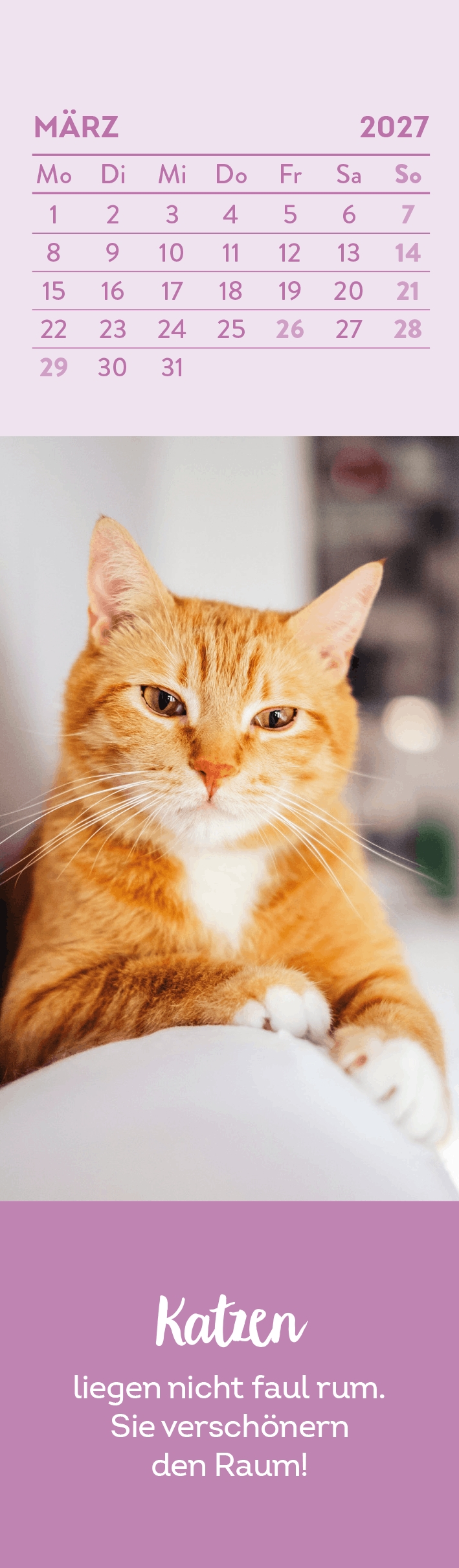 Lesezeichenkalender - Katzenfreunde 2027