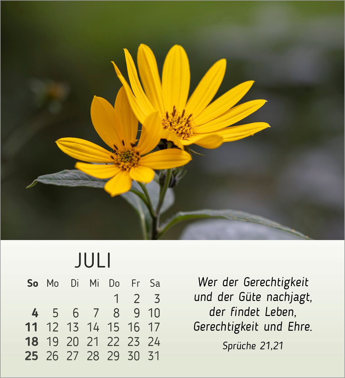 Tischkalender - Stille Begegnungen 2027
