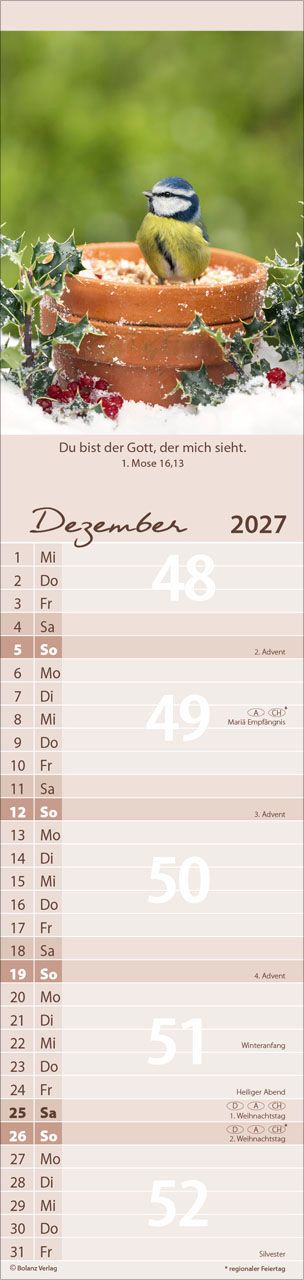 Terminkalender - Für Euch 2027 Streifenterminkalender
