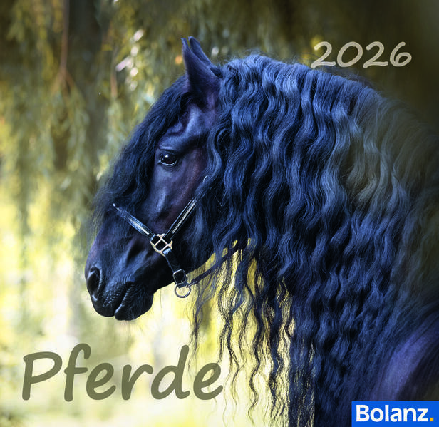 Postkartenkalender - Pferde 2026
