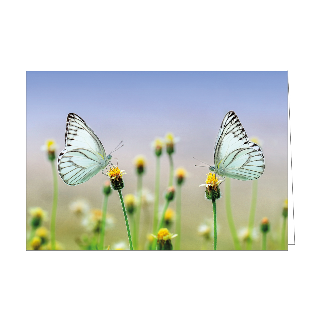 Faltkarten-Serie - Faltkartenserie Israel