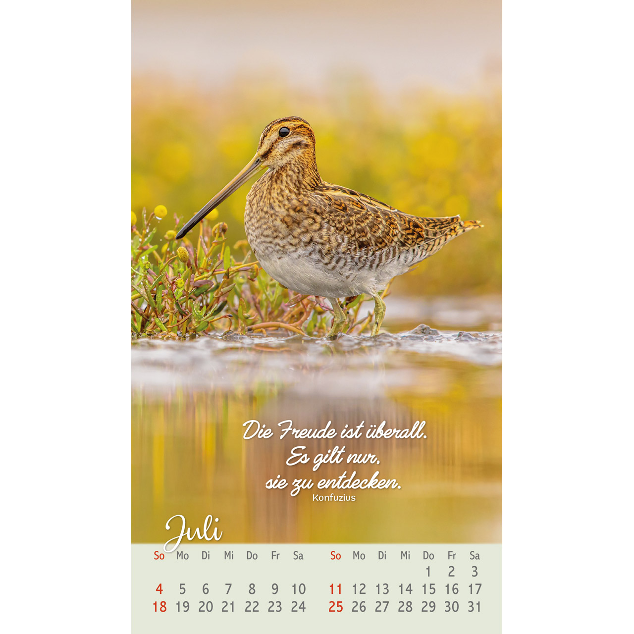 Postkartenkalender - Beflügelt und geborgen 2027