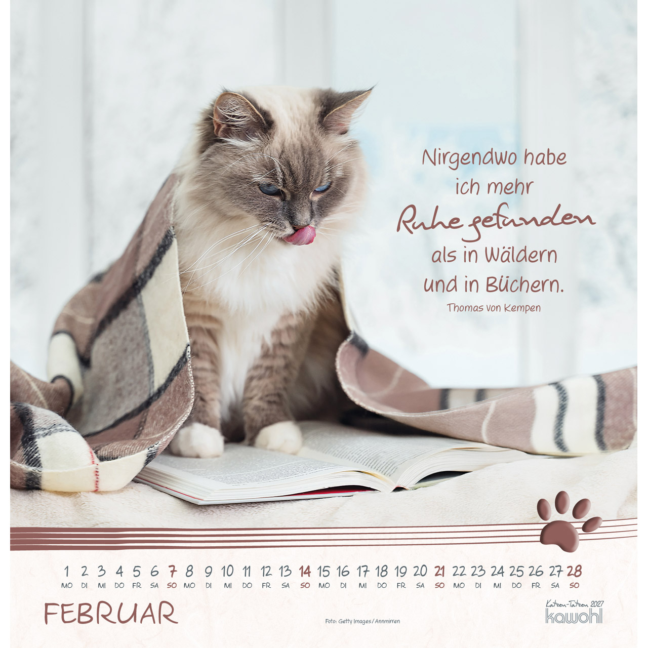 Wandkalender - Katzen-Tatzen 2027