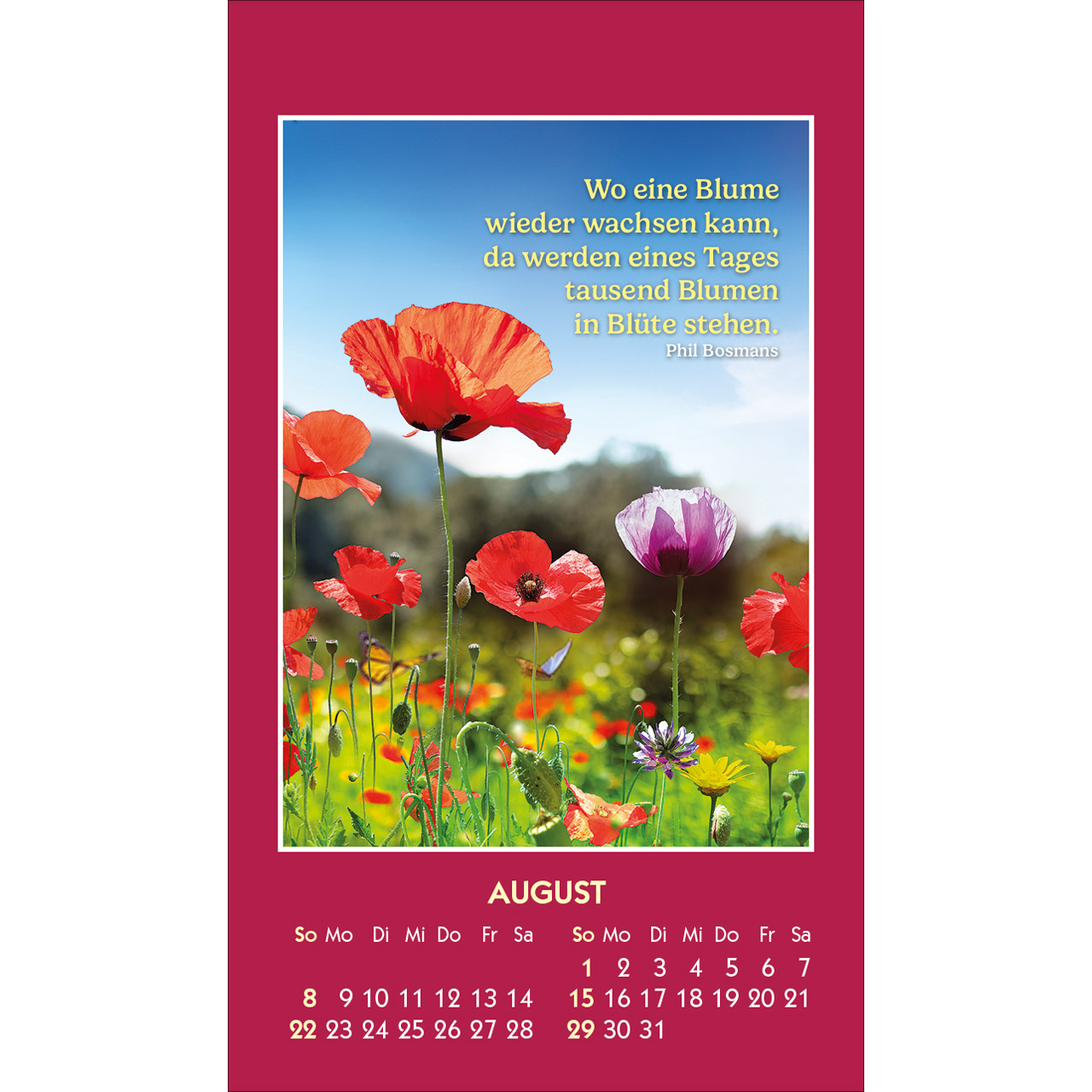 Aufkleberkalender - Gute Worte erhellen den Tag 2027