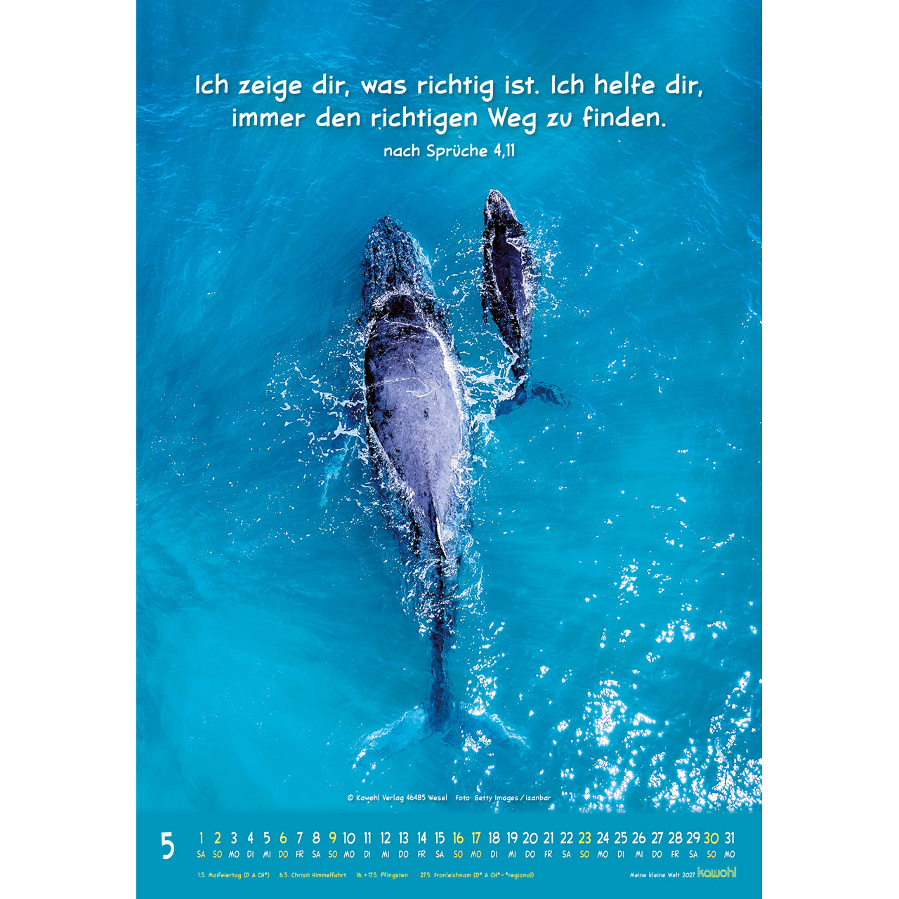 Wandkalender - Meine kleine Welt 2027