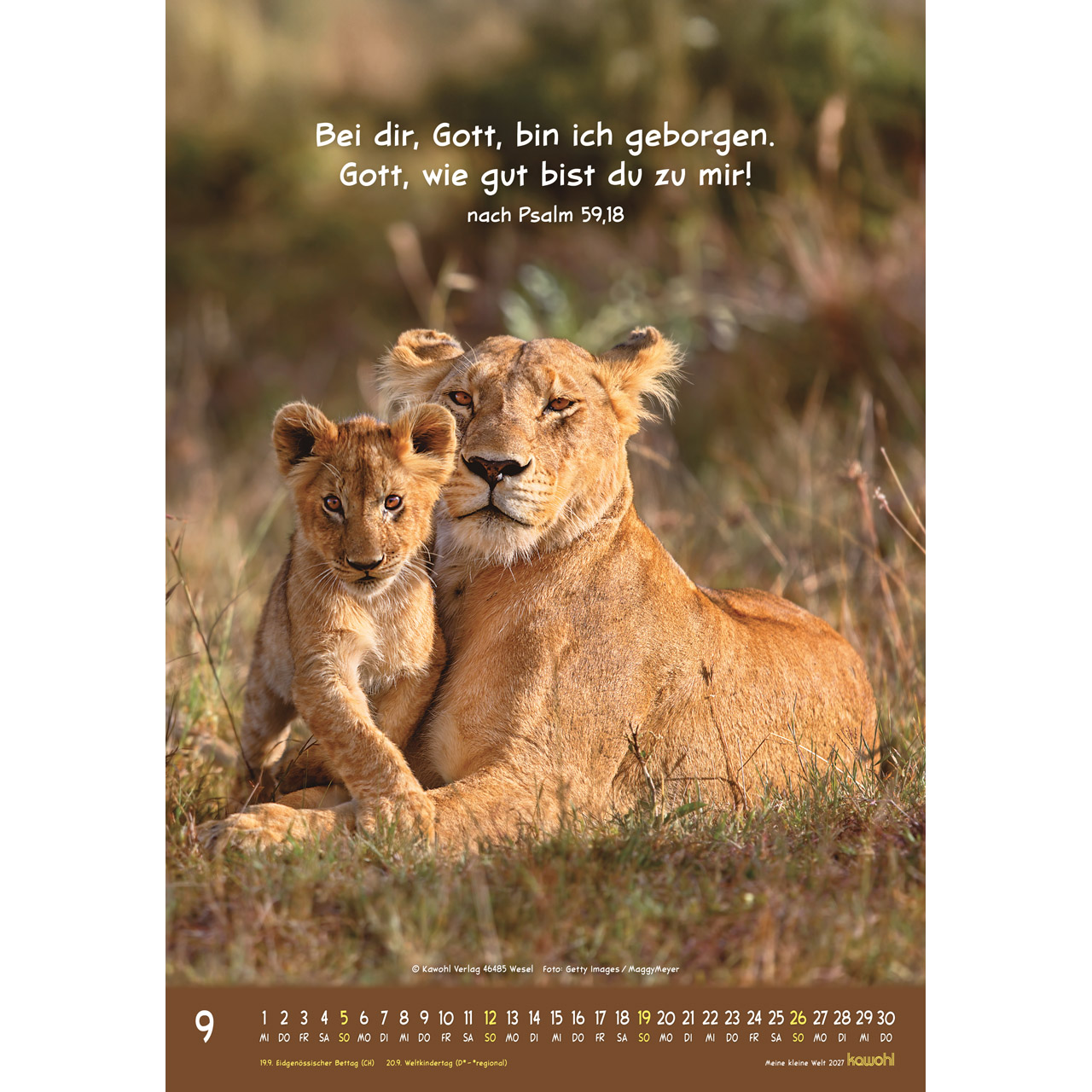 Wandkalender - Meine kleine Welt 2027