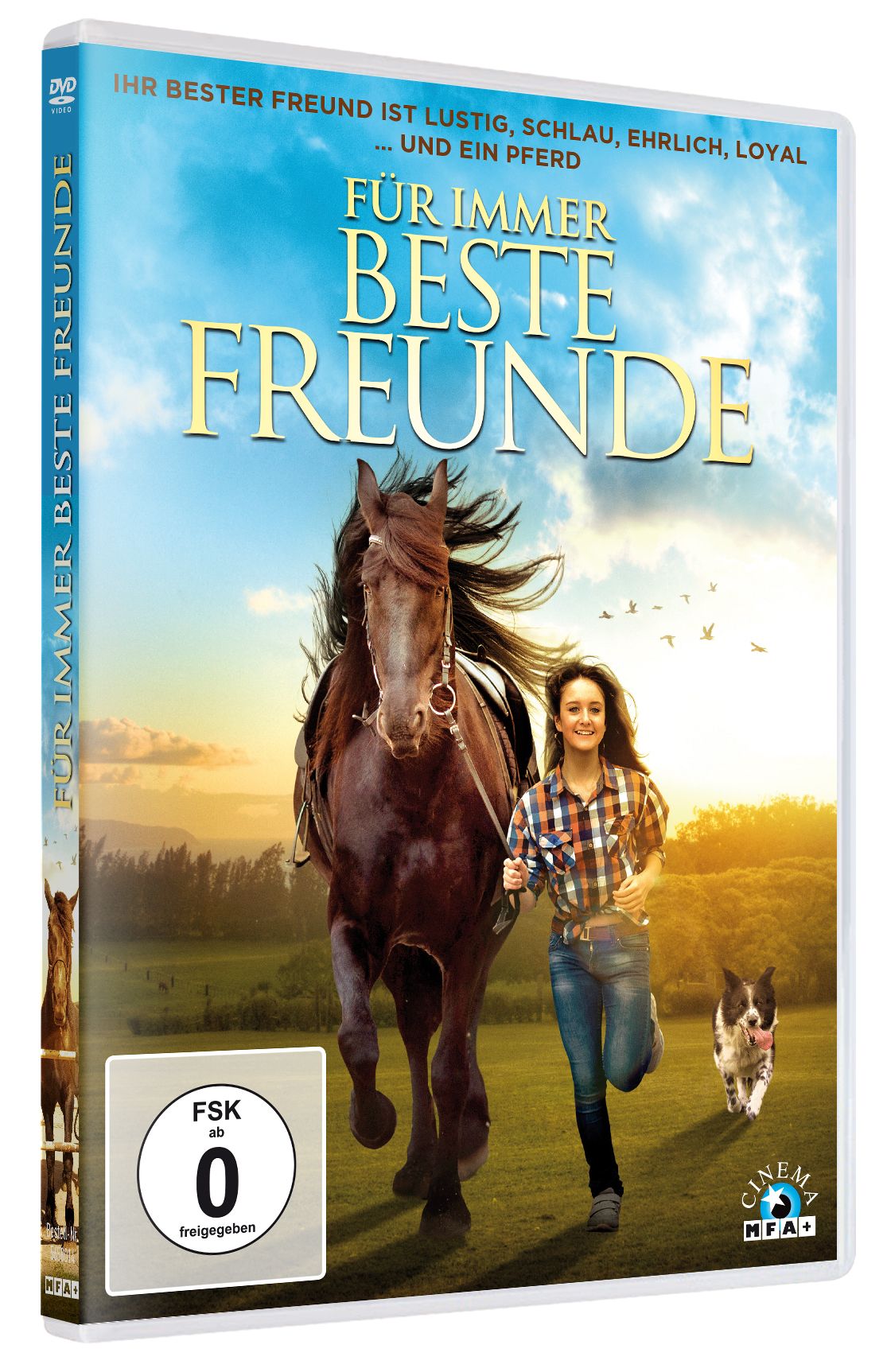 Für immer beste Freunde (DVD)