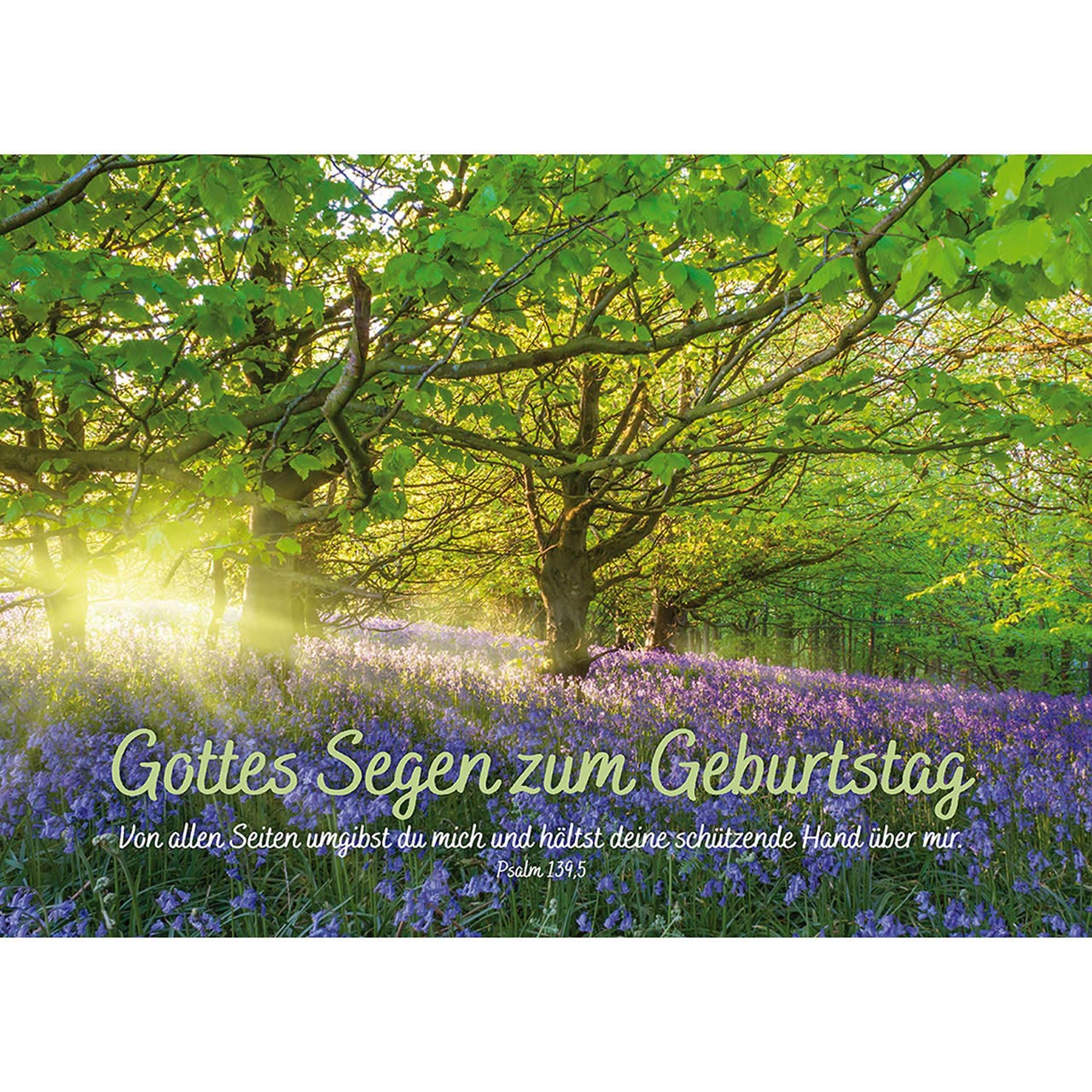Gottes Segen zum Geburtstag