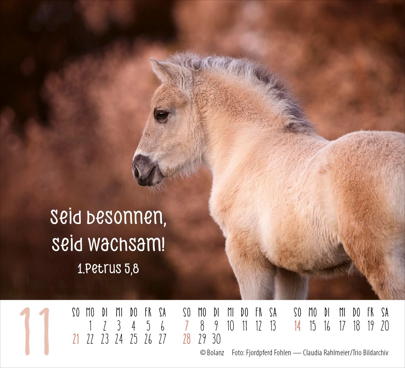 Aufstellkalender - Pferde 2027