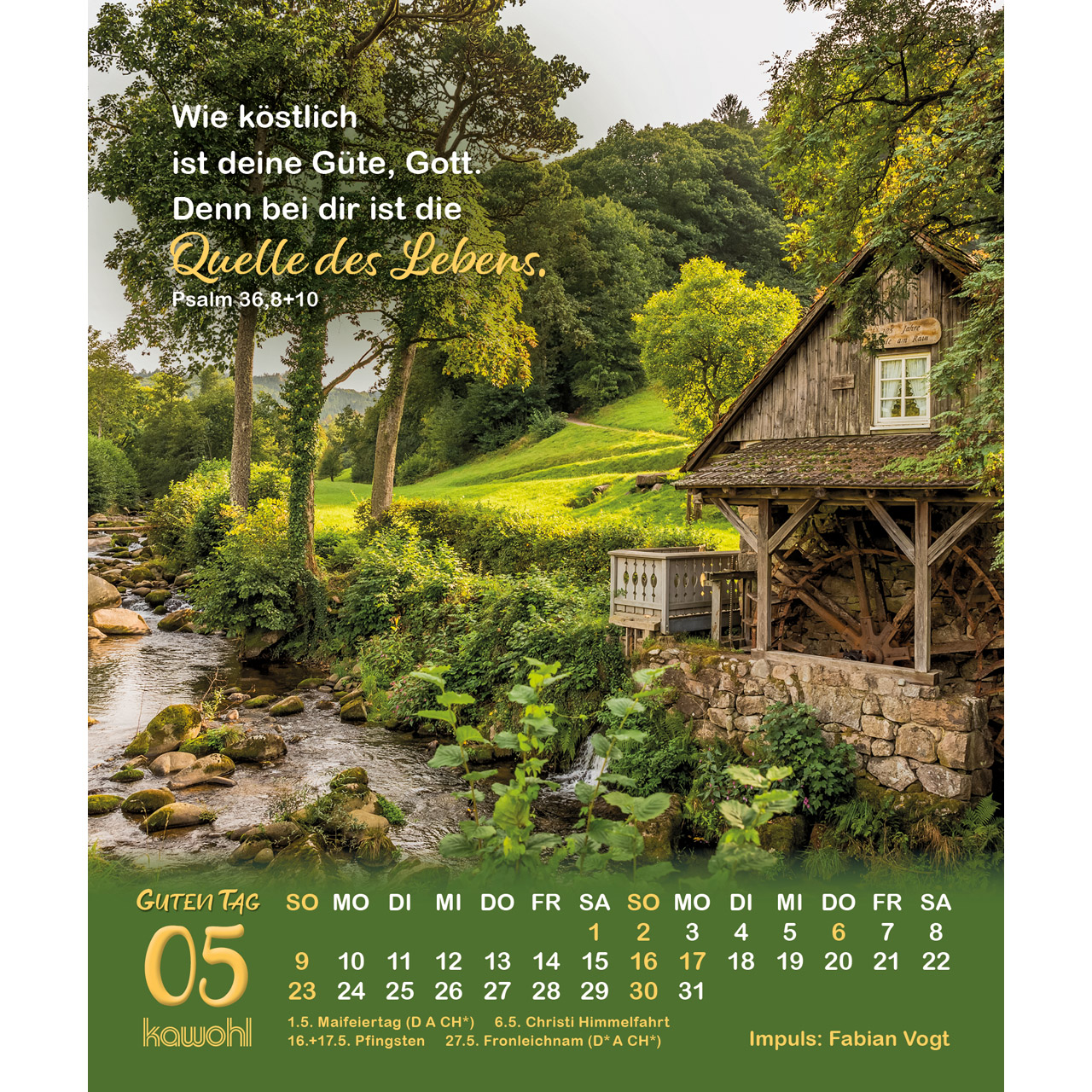 Postkartenkalender - Guten Tag 2027