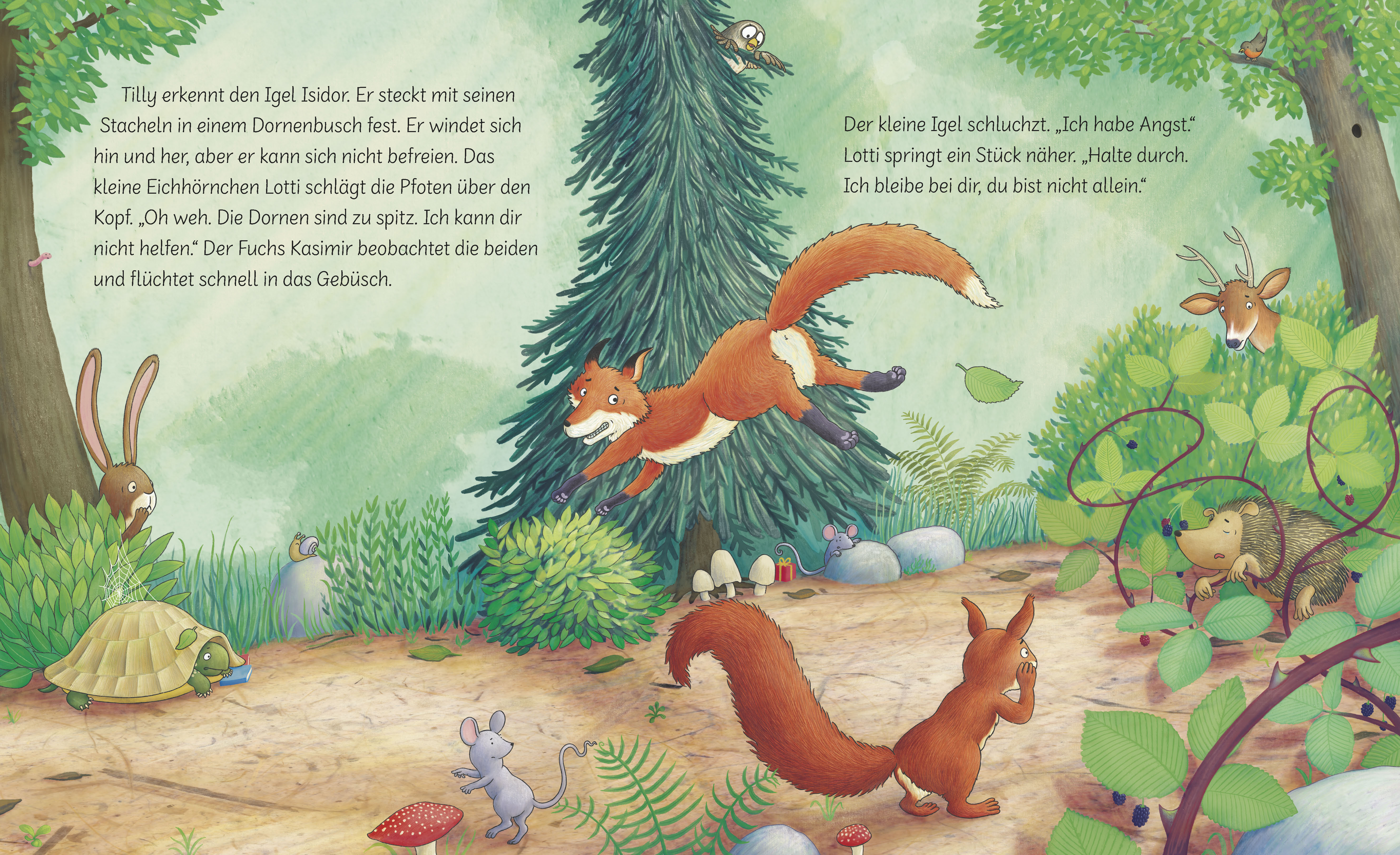 Buch - Trau dich, Tilly!