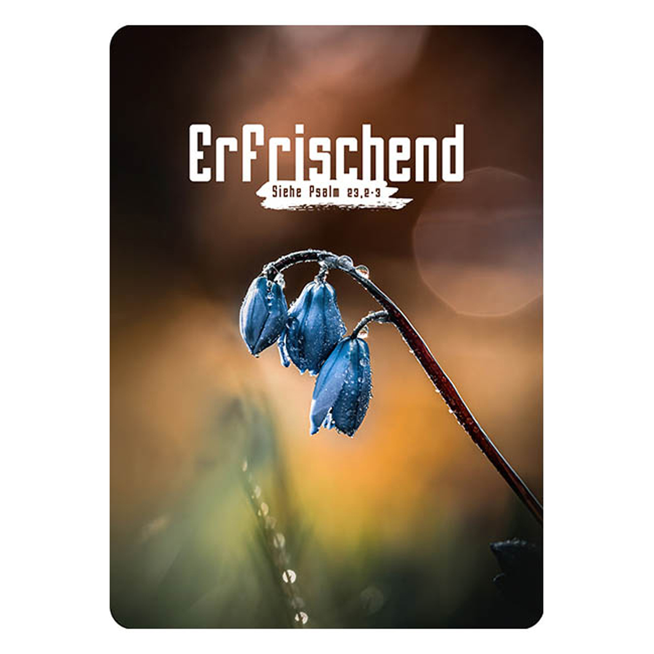 Postkarte - Postkarte 'Erfrischend' 1EX - Blume
