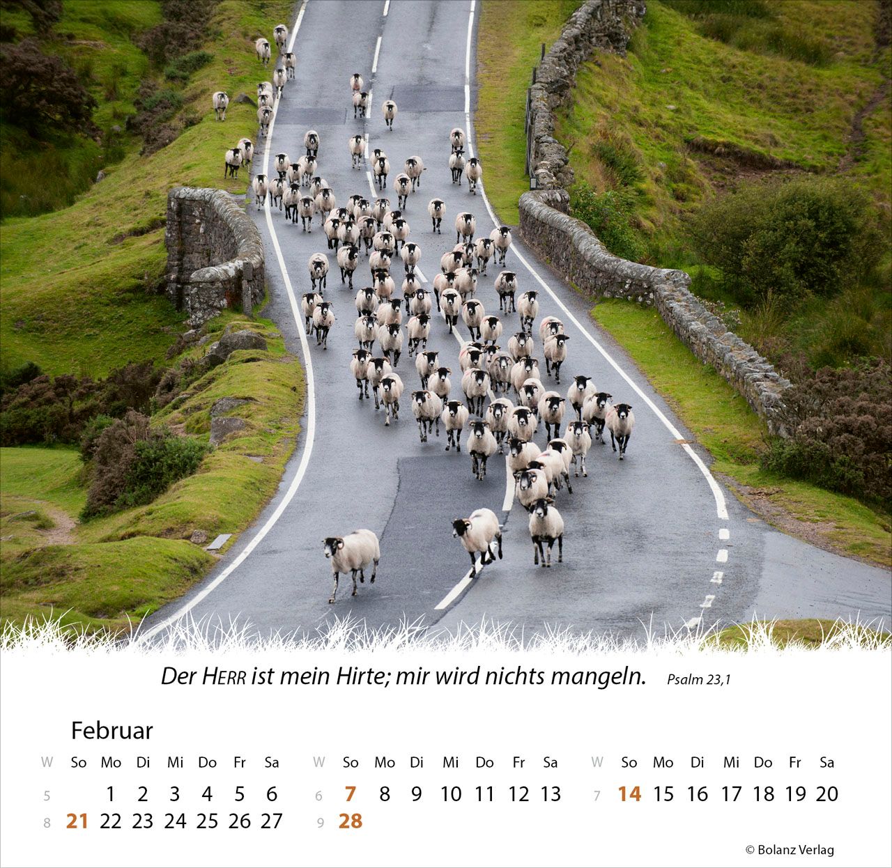 Tischkalender - Ein Leben für die Schafe 2027 Tischkalender