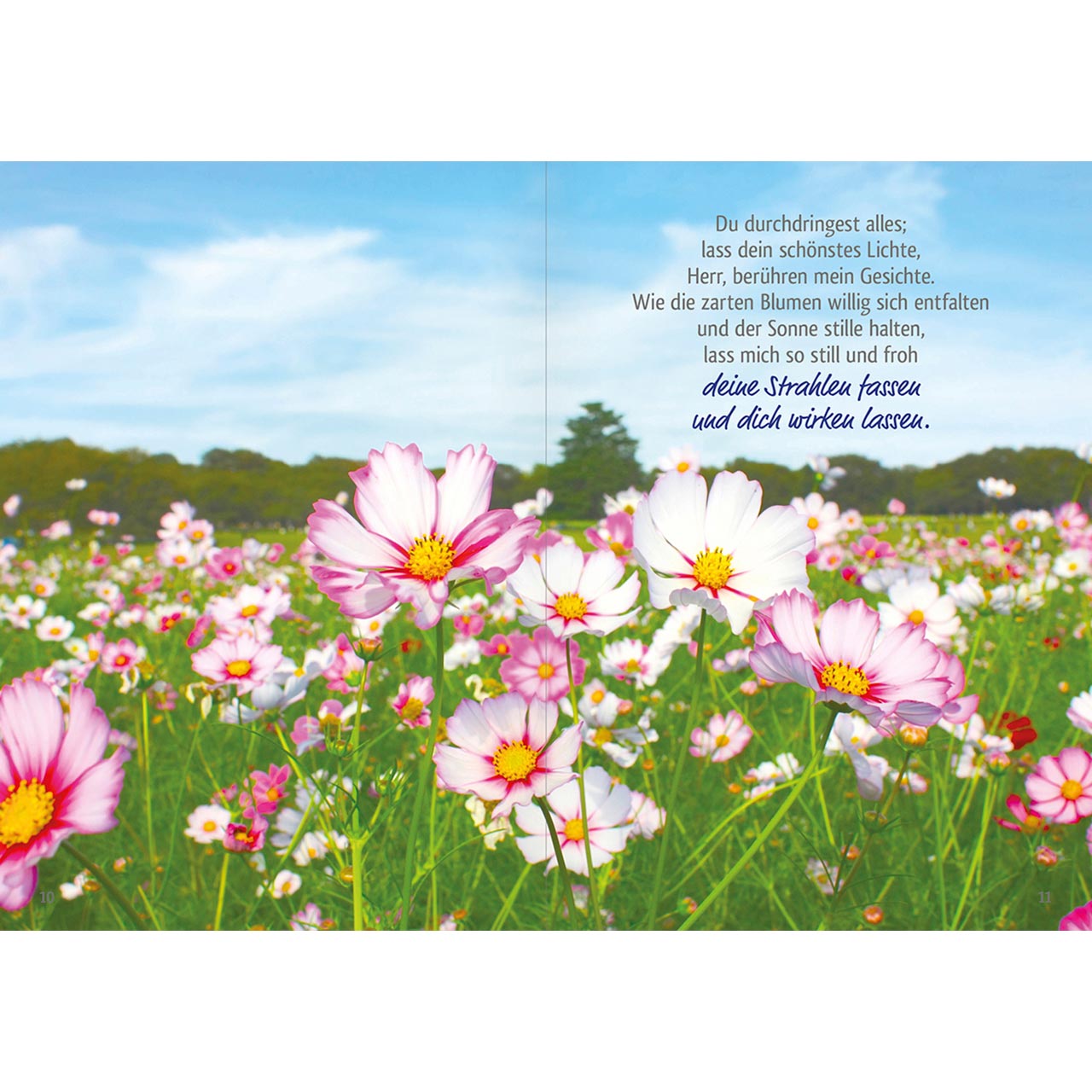 Grußheft - Gott ist gegenwärtig - Berge - See