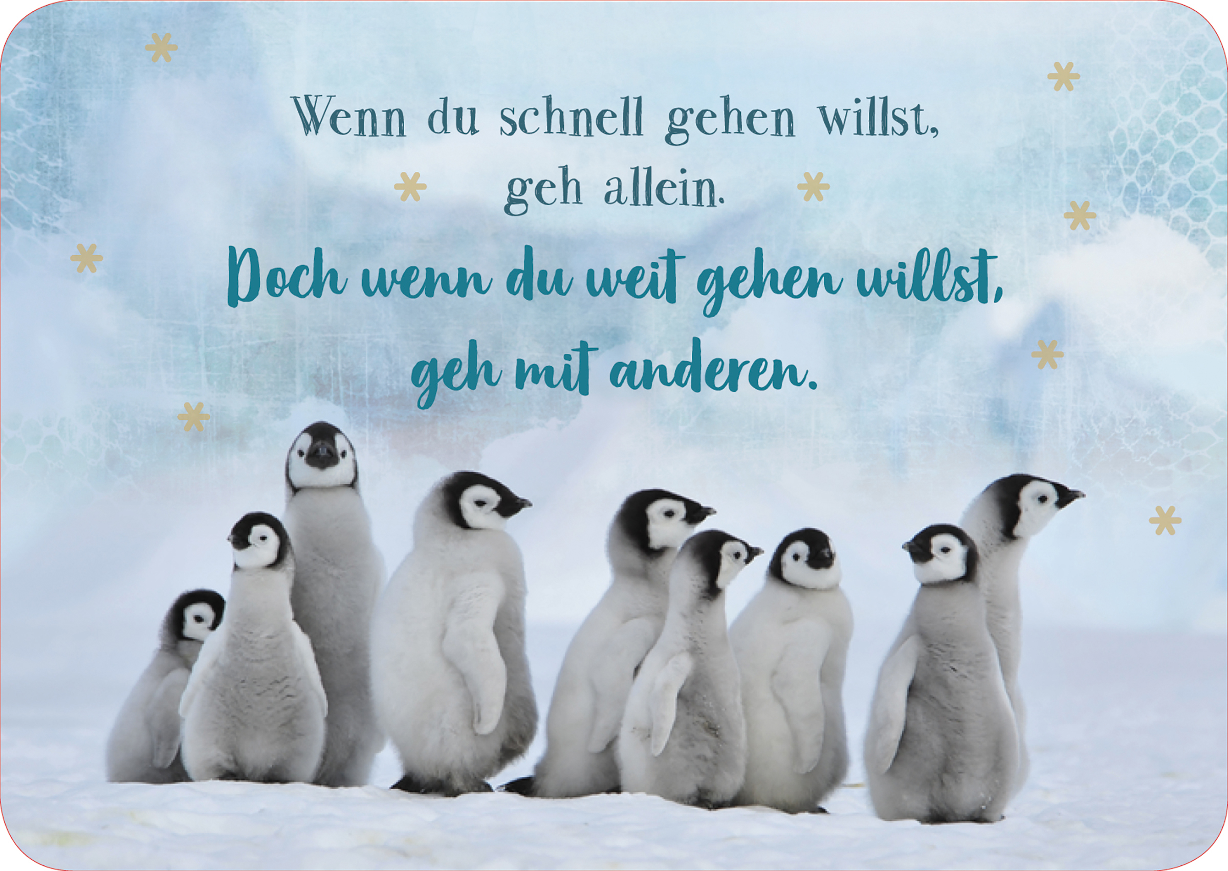 Postkarte - Postkarte 'Wenn du schnell gehen willst, geh allein. Doch wenn du weit gehen wil