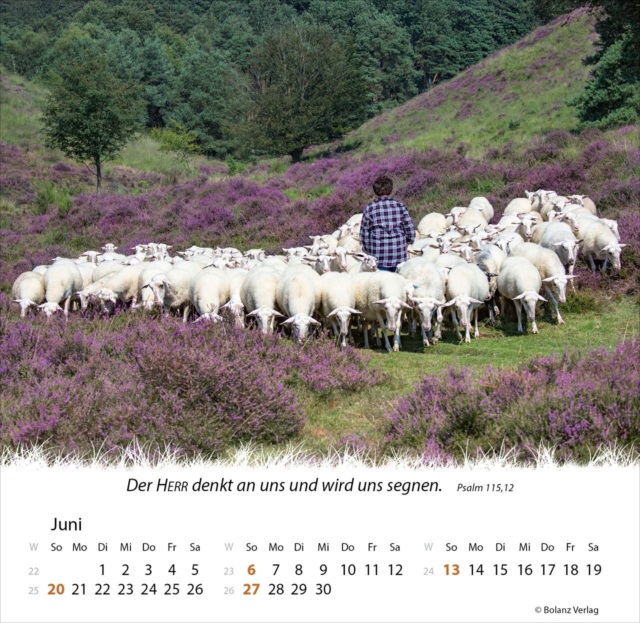 Tischkalender - Ein Leben für die Schafe 2027 Tischkalender