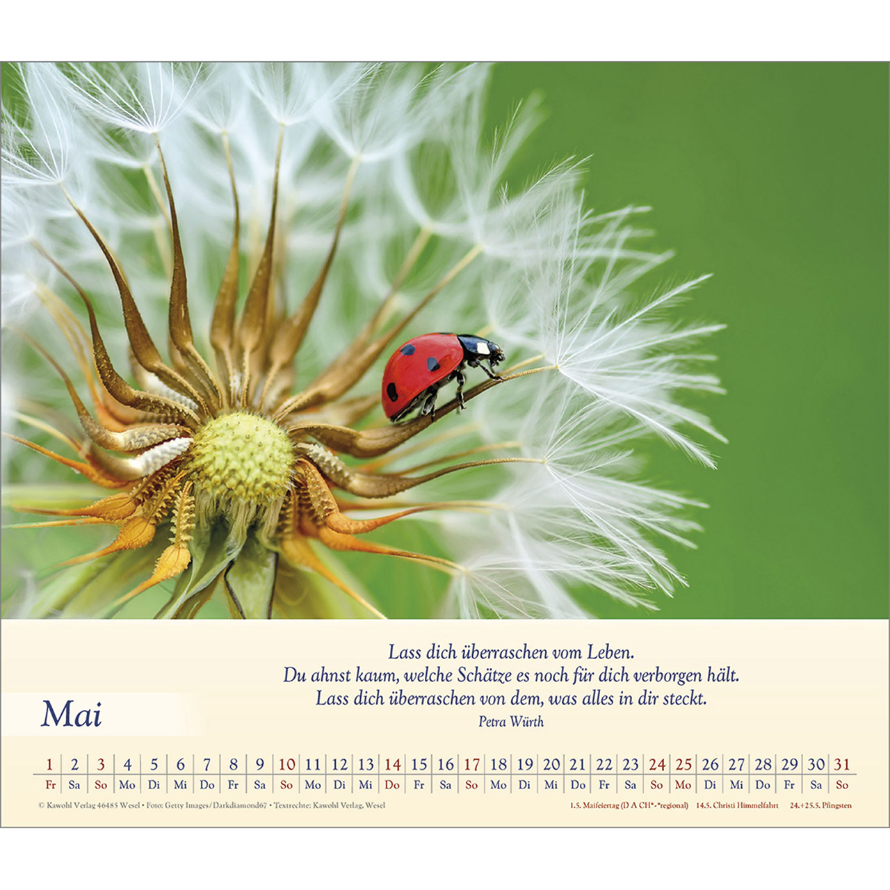 Wandkalender - Balsam für deine Seele 2026