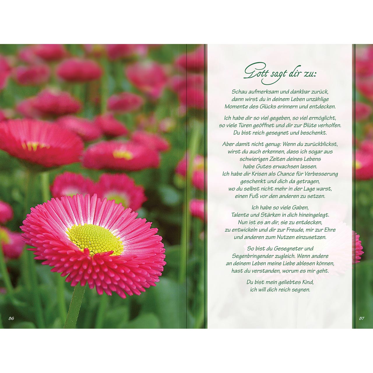 Geschenkbuch - Ich bin da, dir ganz nah - rosa Blumen