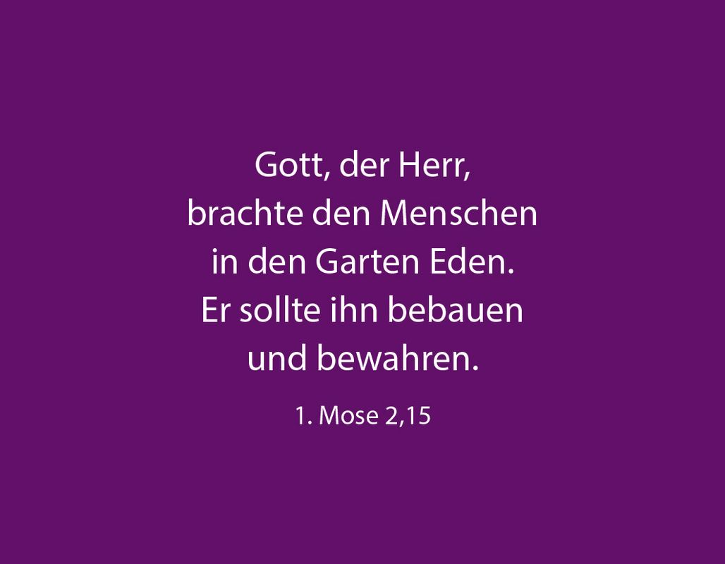 Karten-Box - 50 Dinge, die Gott an dir liebt