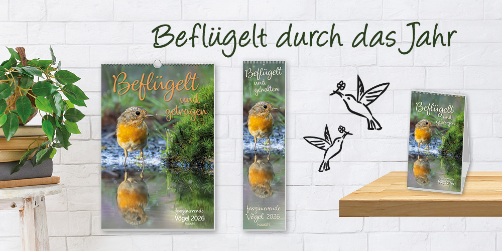 Banner mit Vogel-Kalendern und einer Pflanze auf einem Stapel Bücher. Text: "Beflügelt durchs Jahr".