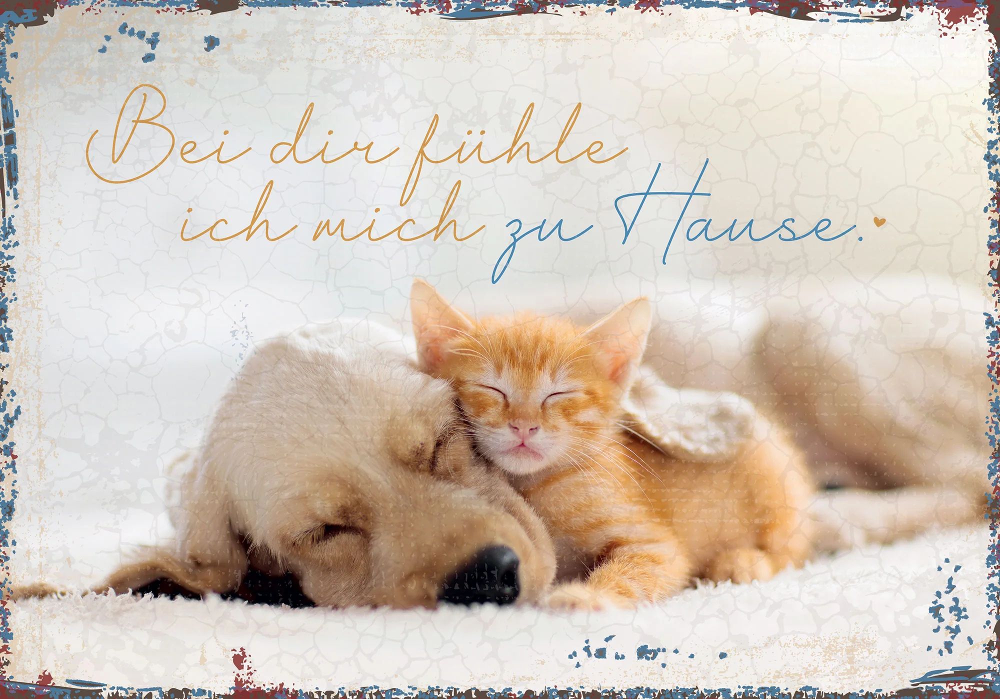 Wanddekoration - Metallschild 'Bei dir fühle ich mich zu Hause' - Hund Katze Metalschild