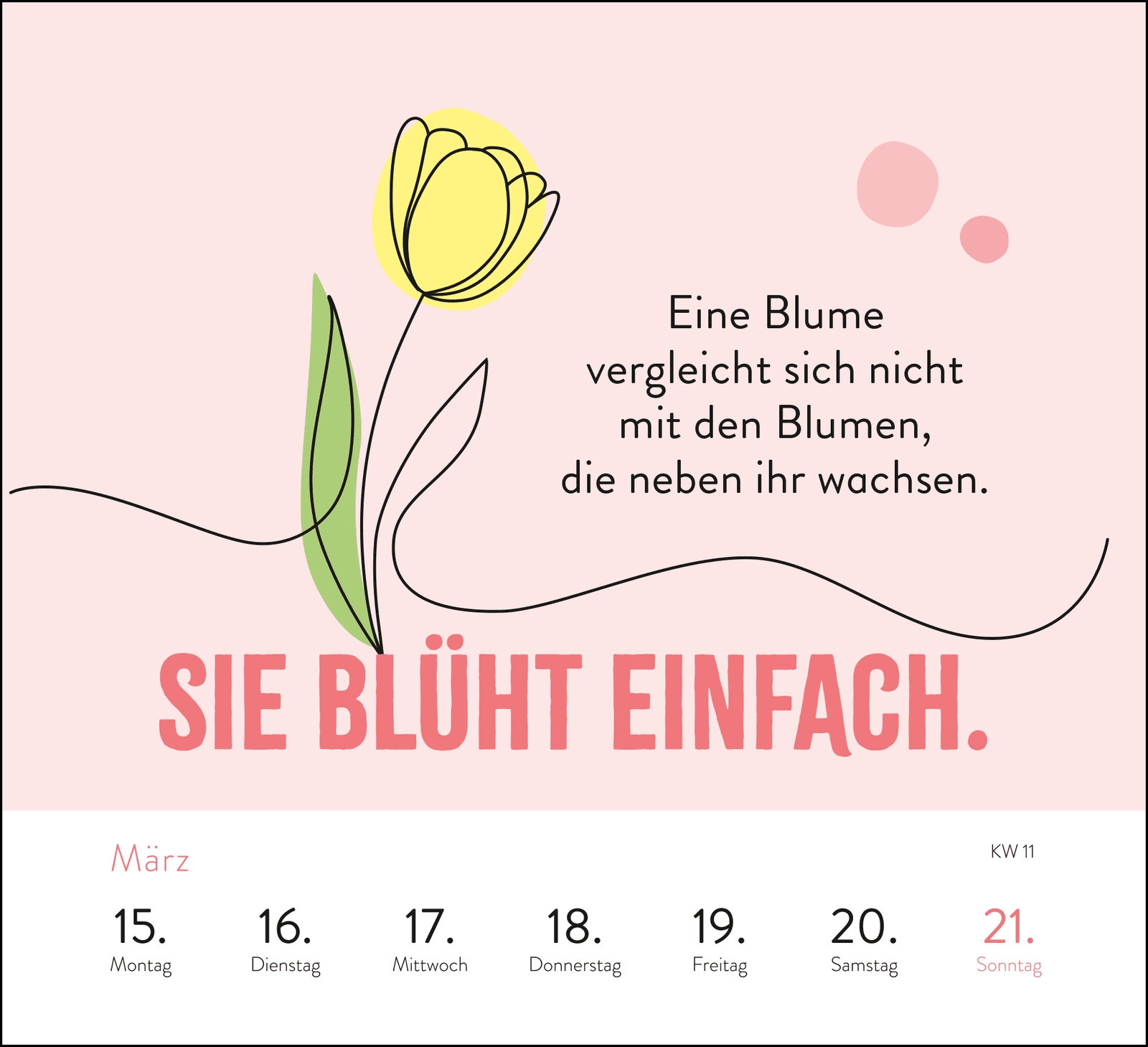 Aufstellkalender - Sei stark. Sei anders. Sei DU. 2027
