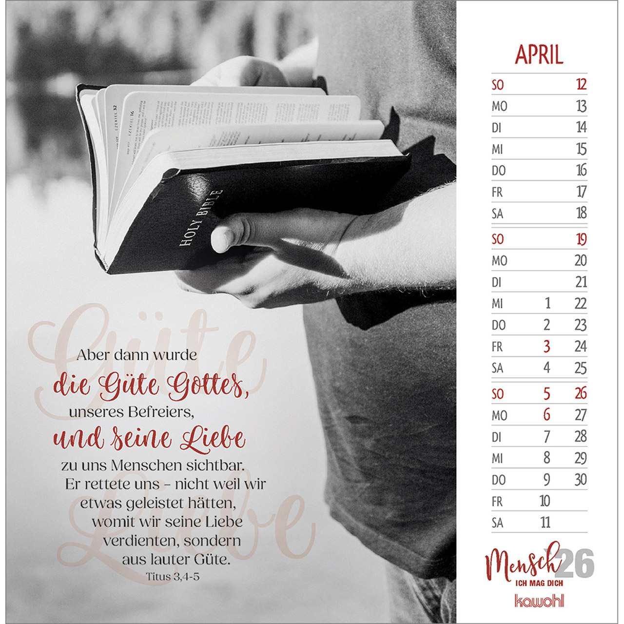 Postkartenkalender - Mensch ich mag dich 2026