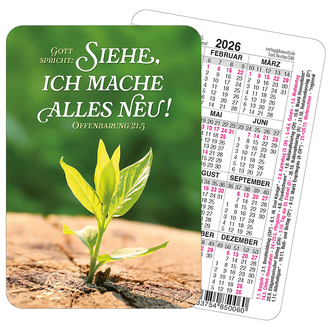 Spielkarten-Kalender 2026