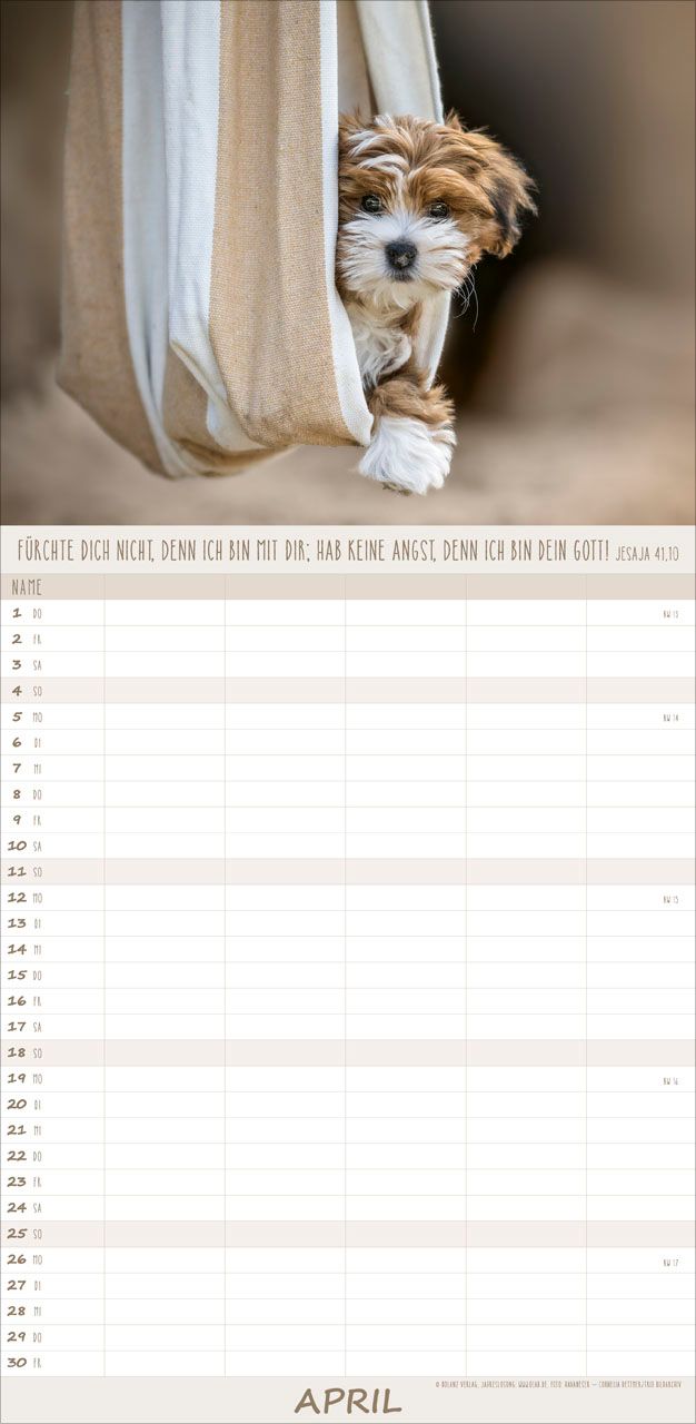 Terminkalender - Hunde 2027