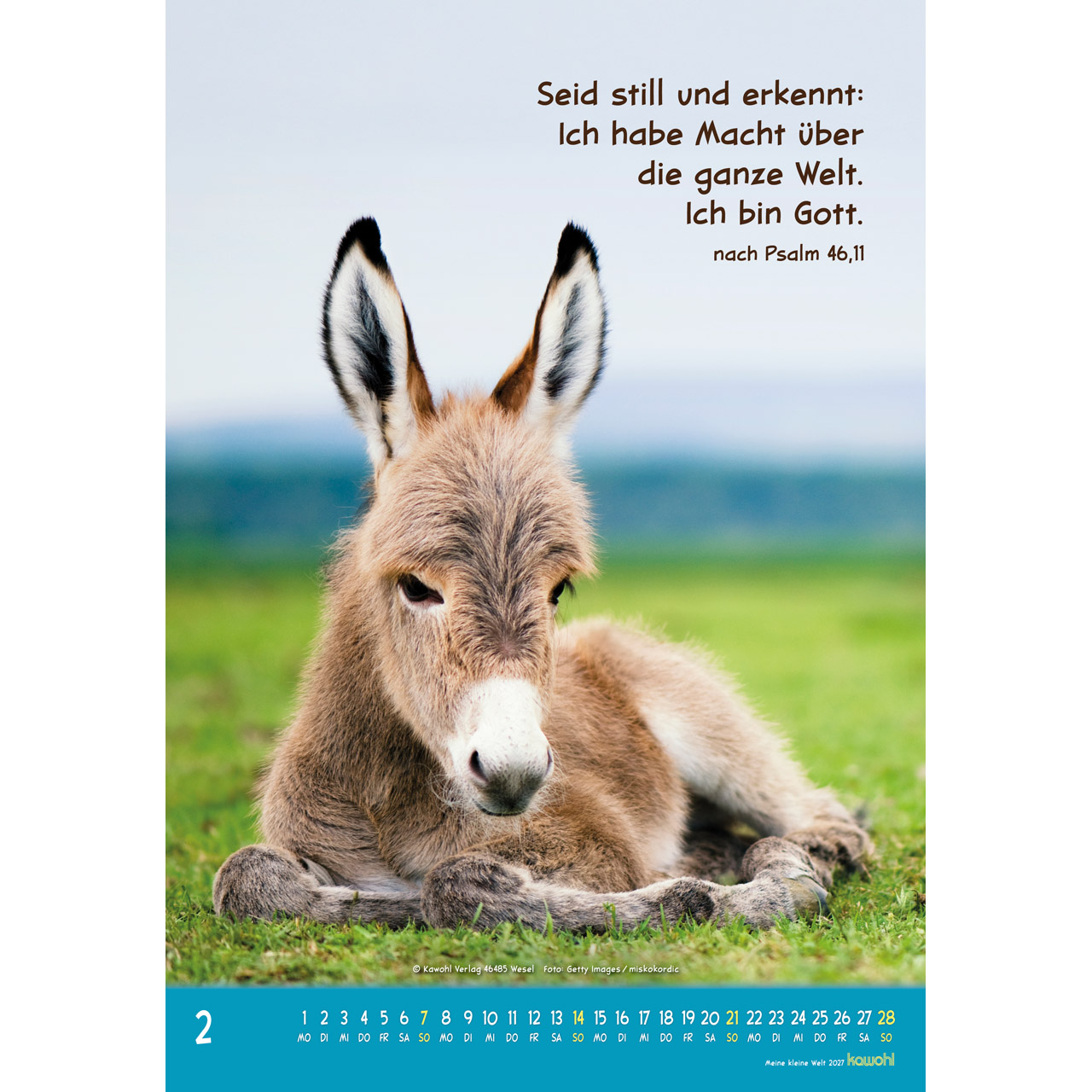 Wandkalender - Meine kleine Welt 2027