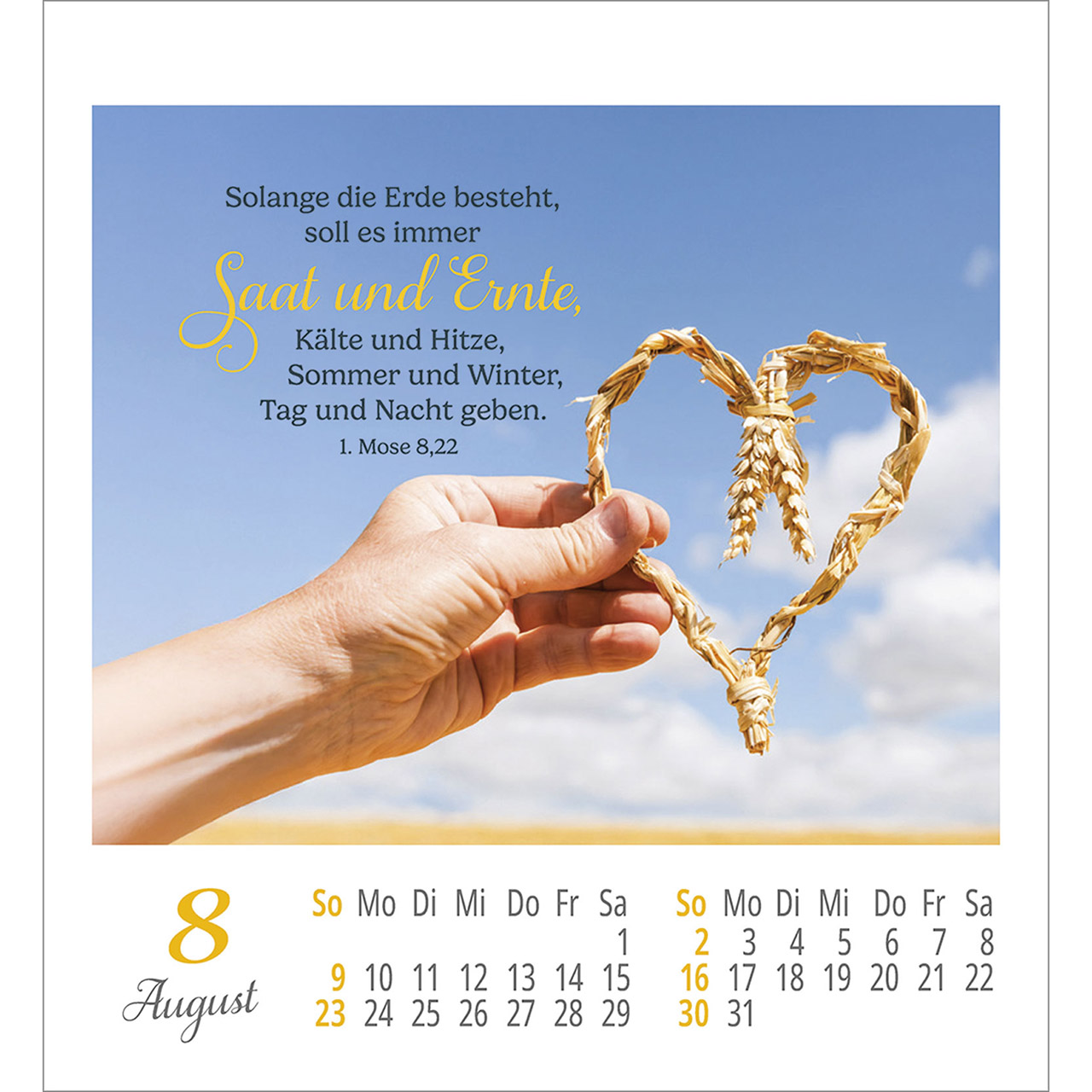 Aufkleberkalender - Lieblingsworte umgeben dich 2026
