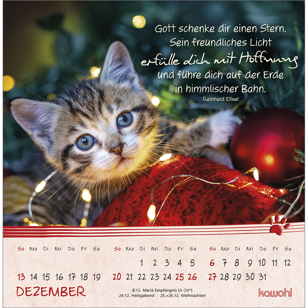 Postkartenkalender - Kleine Katzen-Tatzen 2026