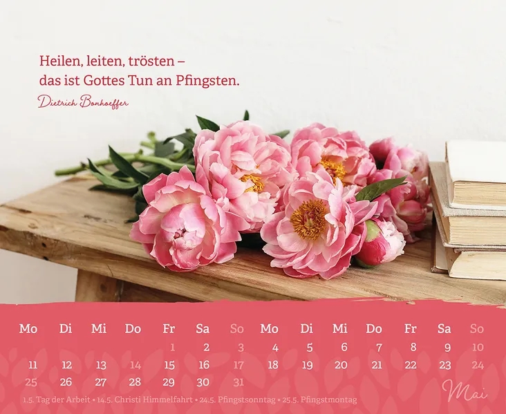Wandkalender - Behütet und getröstet jeden Tag 2027