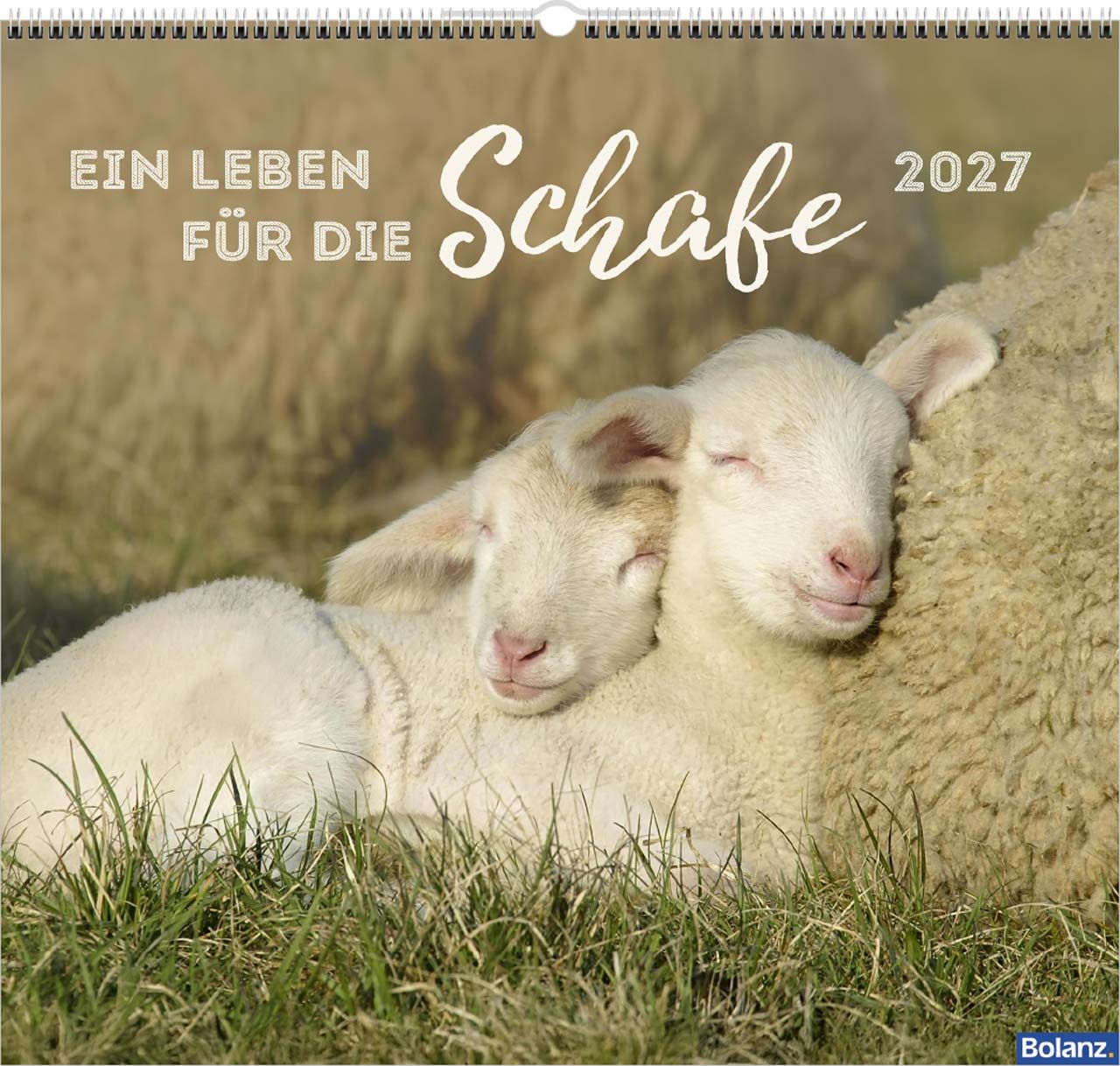 Wandkalender - Ein Leben für die Schafe 2027