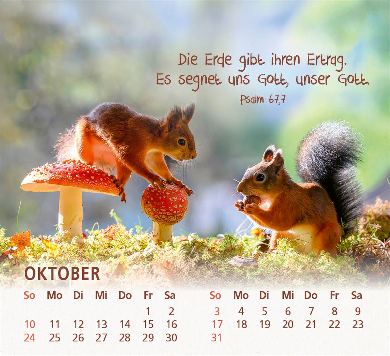 Tischkalender - Du bist meine Freude 2027