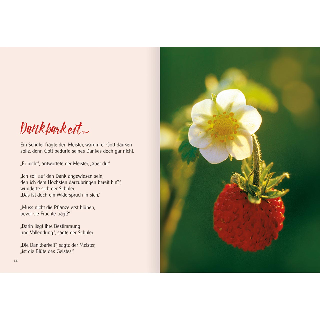 Buch - Kleine Schätze - Notizbuch Rose Kugelschreiber