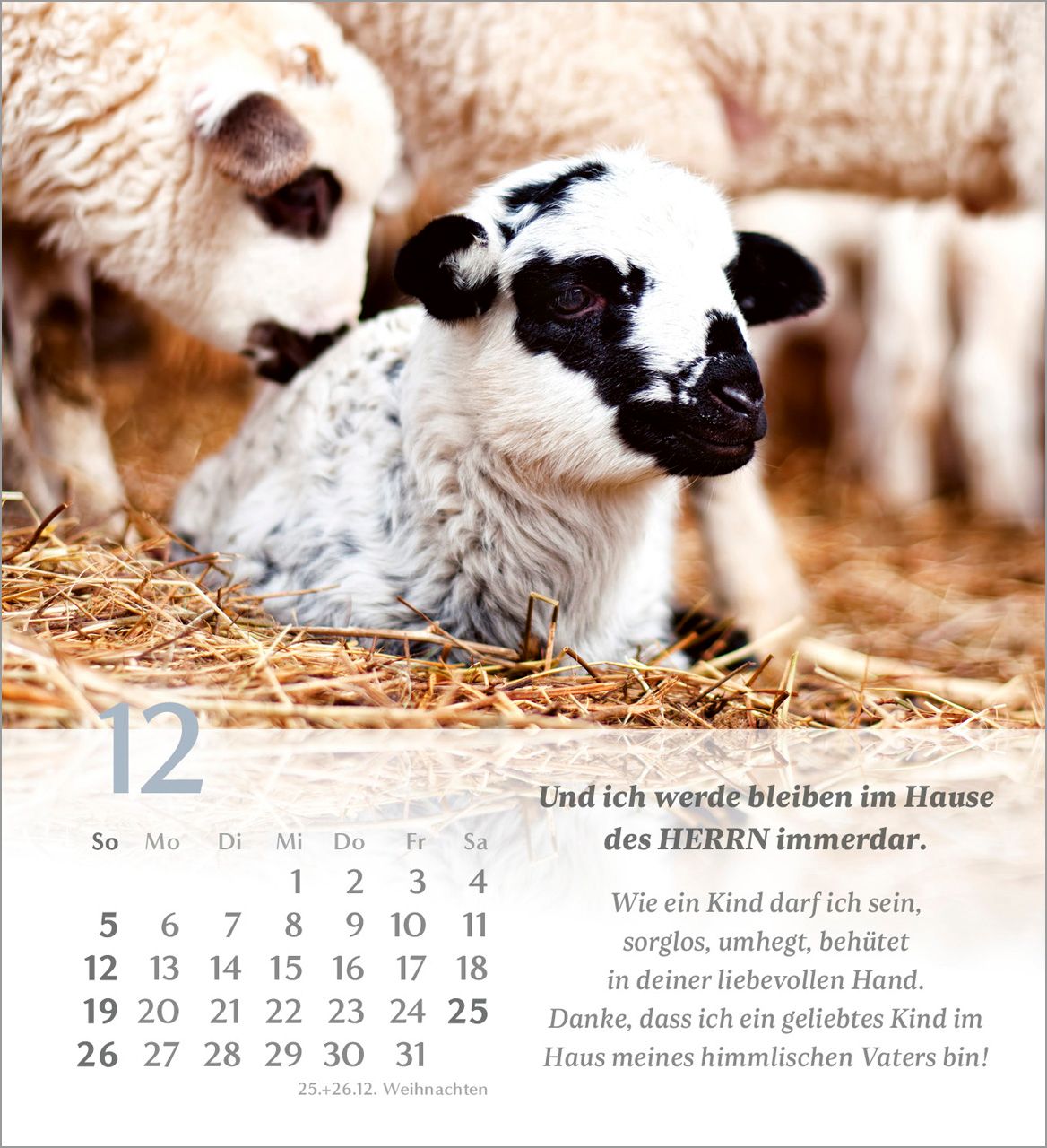 Tischkalender - Psalm 23 2027