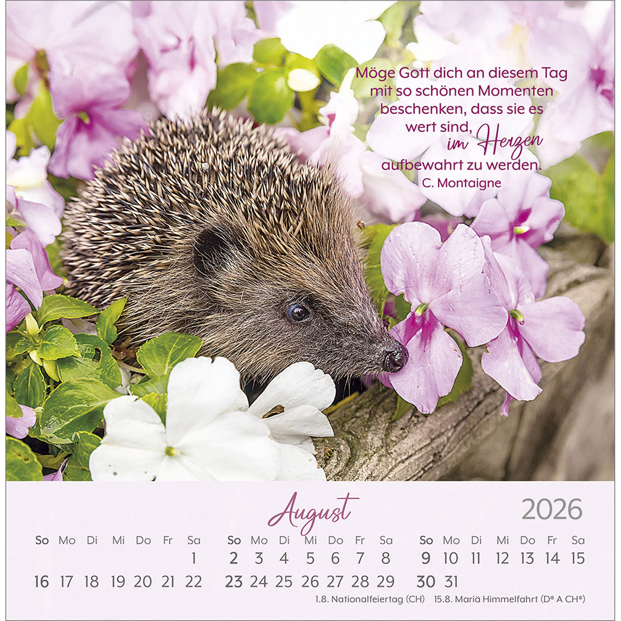 Postkartenkalender - Herzenswünsche 2026