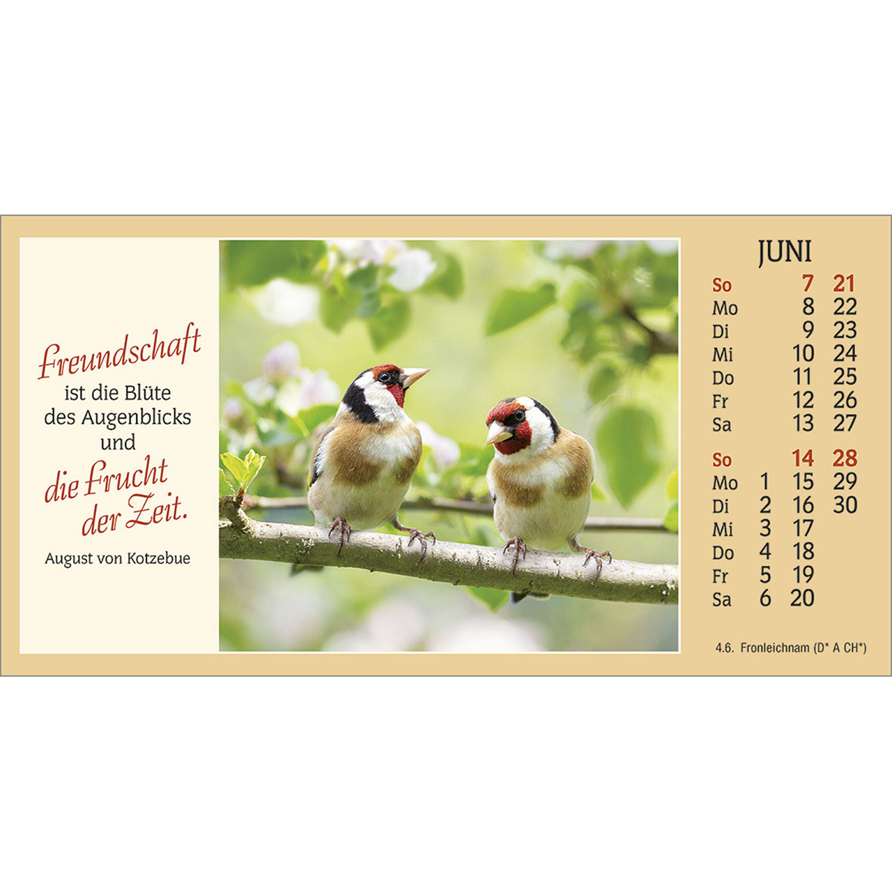Autokalender - Auf allen Wegen 2026