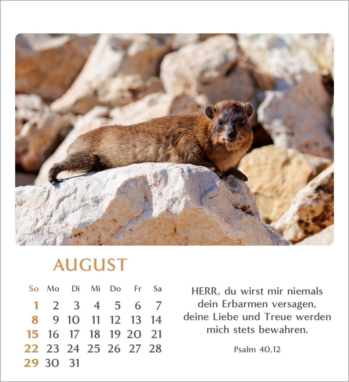 Tischkalender - Geliebtes Israel 2027