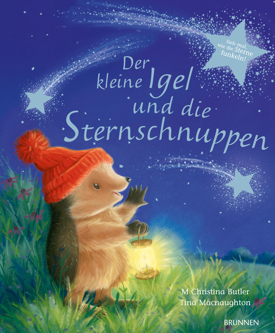 Der kleine Igel und die Sternschnuppen Buch - Der kleine Igel und die Sternschnuppen