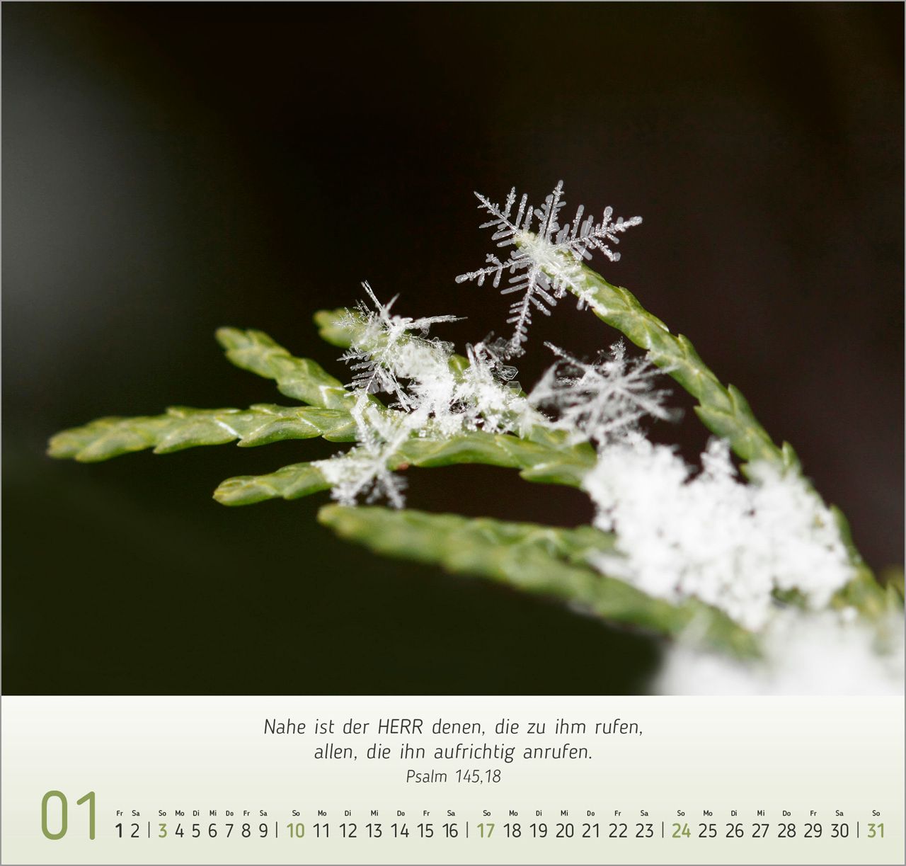Wandkalender - Gesichter der Natur 2027