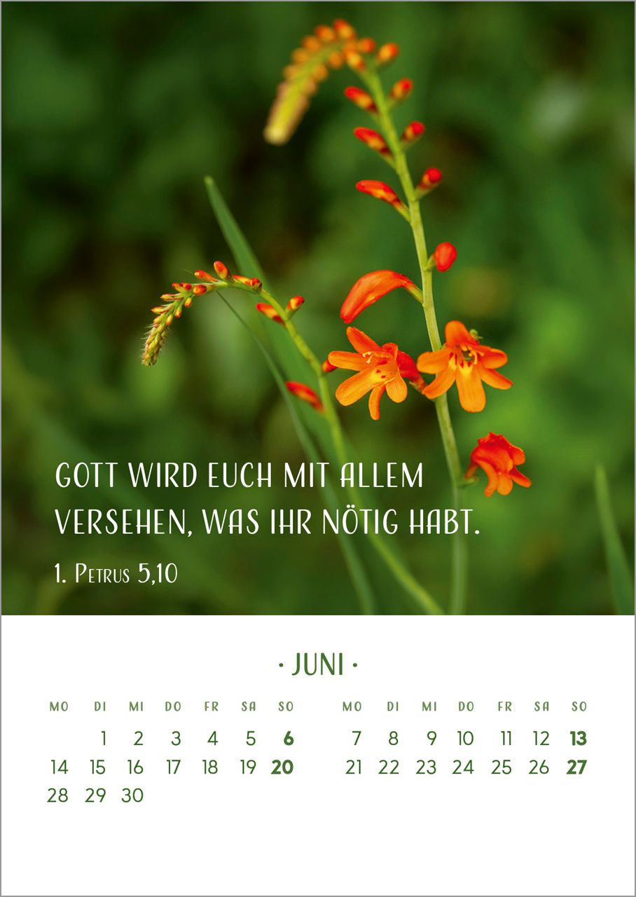 Tischkalender - Zarte Blumengrüße 2027