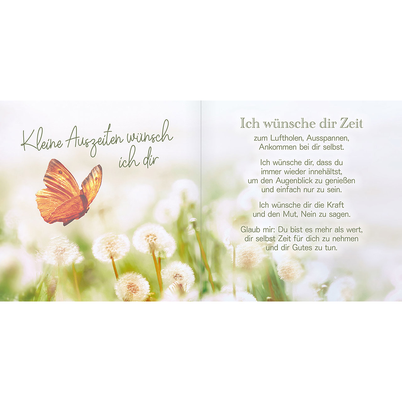 Geschenkbuch - Sonne im Herzen wünsch ich Dir - Kind mit Pusteblume