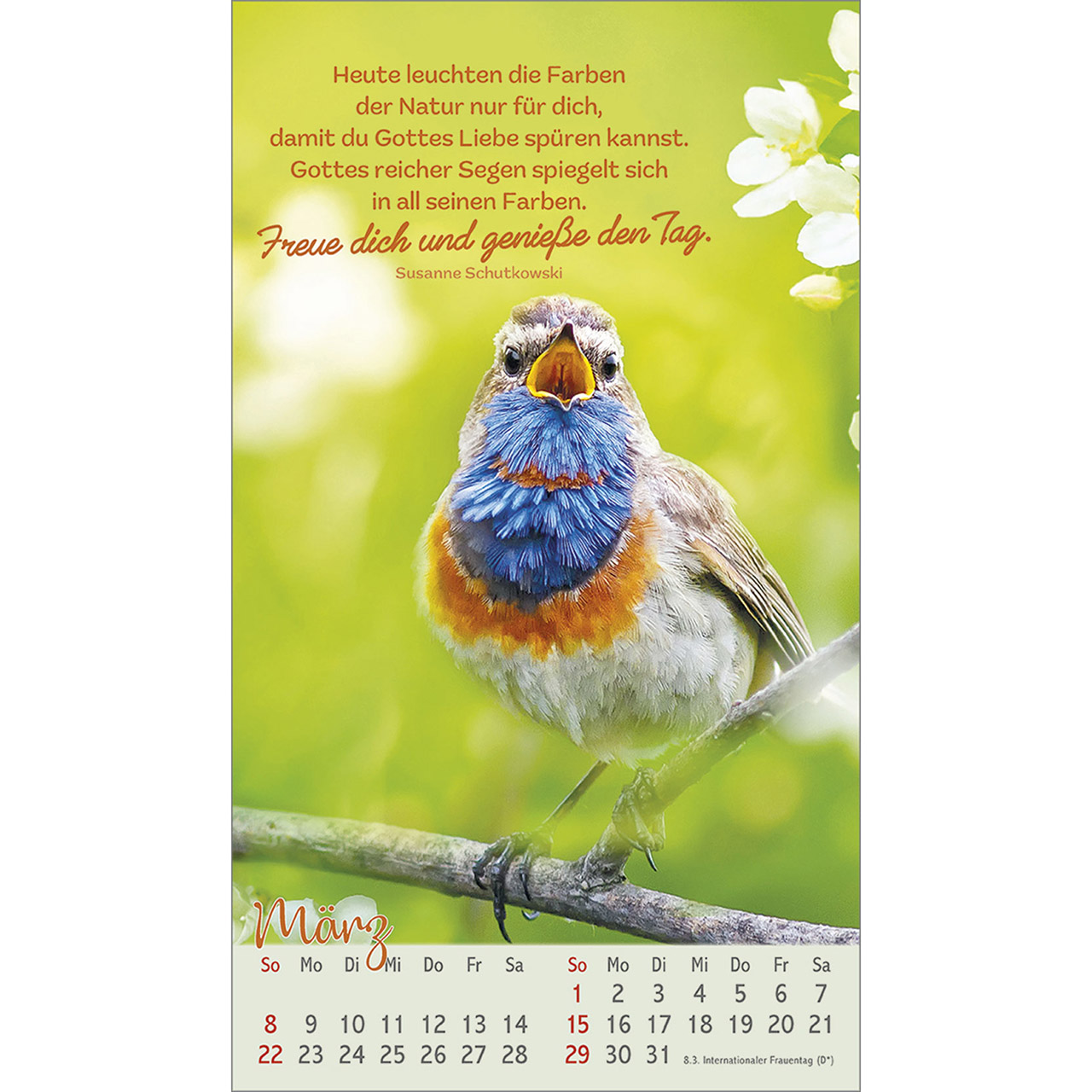 Postkartenkalender - Beflügelt und geborgen 2026