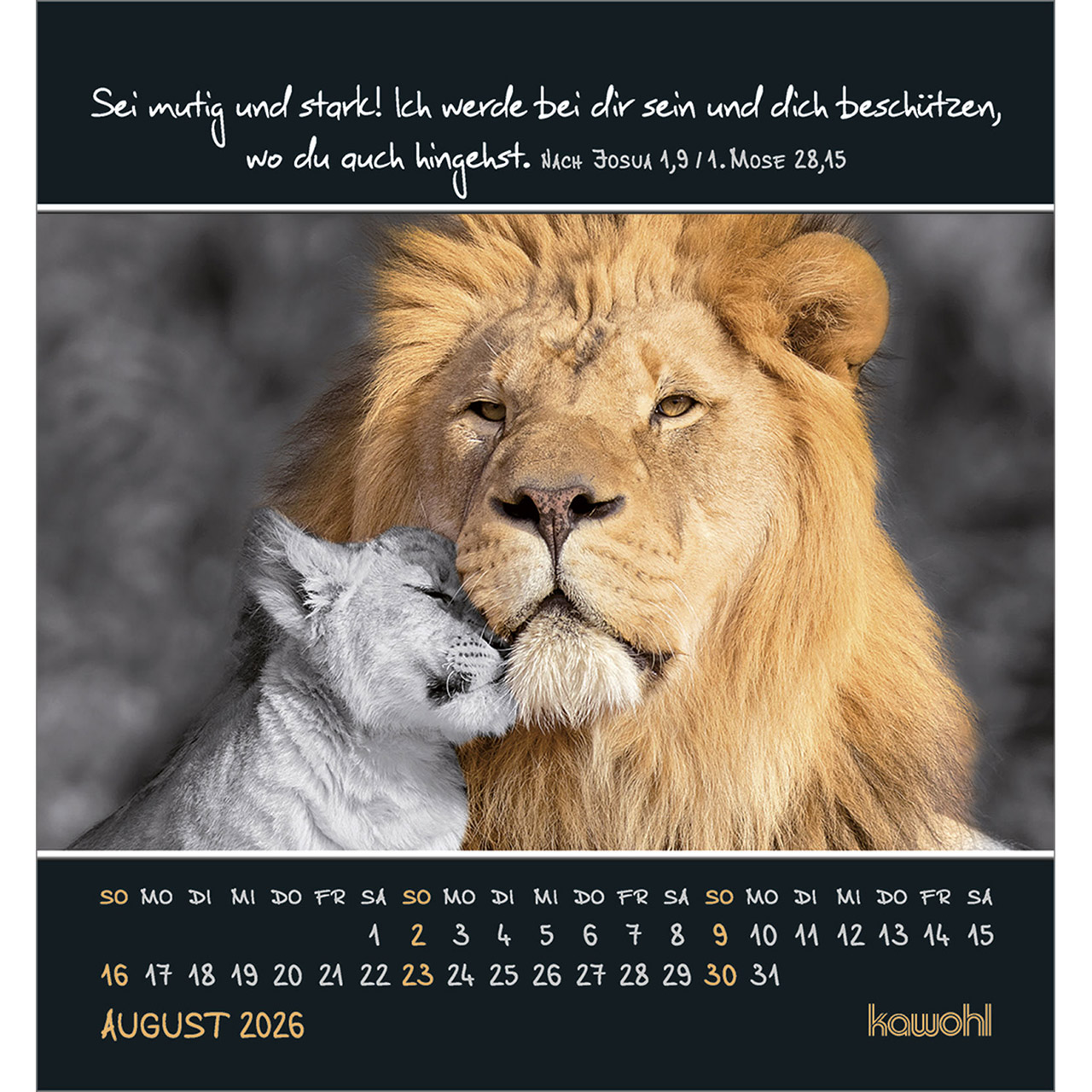 Tischkalender - Freu dich an kleinen Wundern 2026