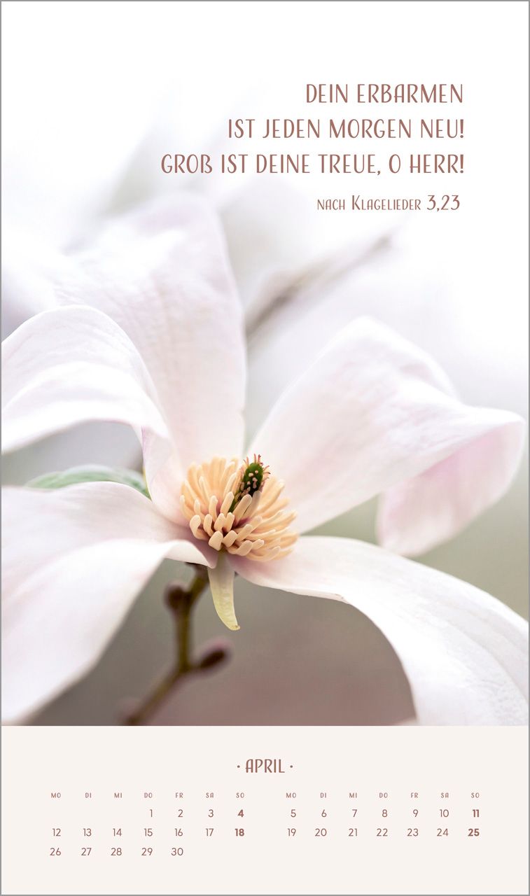 Posterkalender - Zarte Blumengrüße 2027 Posterkalender