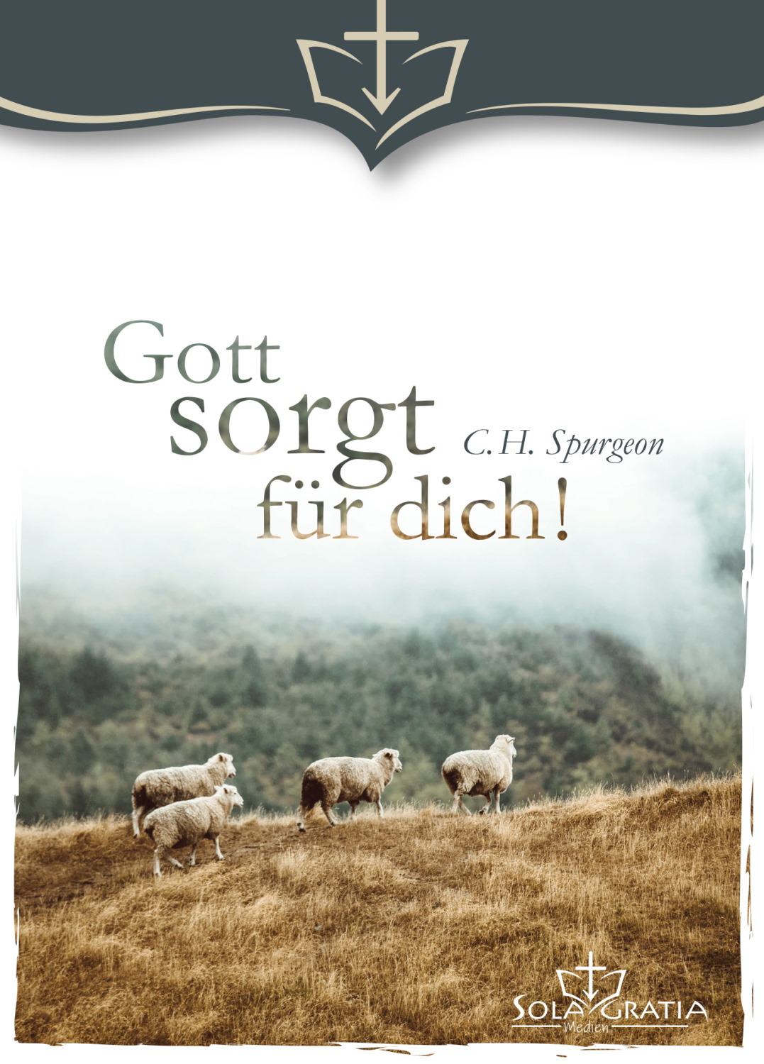 Buch - Gott sorgt für dich!