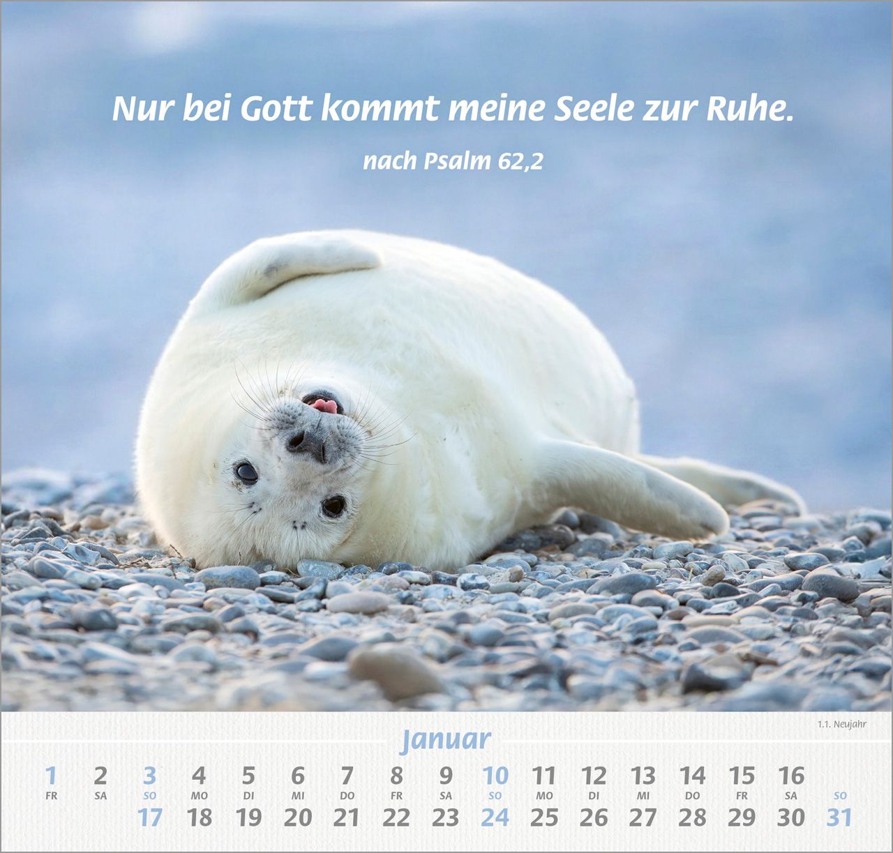 Wandkalender - Ich hab dich gern 2027 Wandkalender