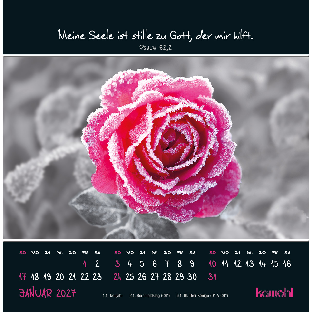 Postkartenkalender - Kleine Wunder sehen 2027